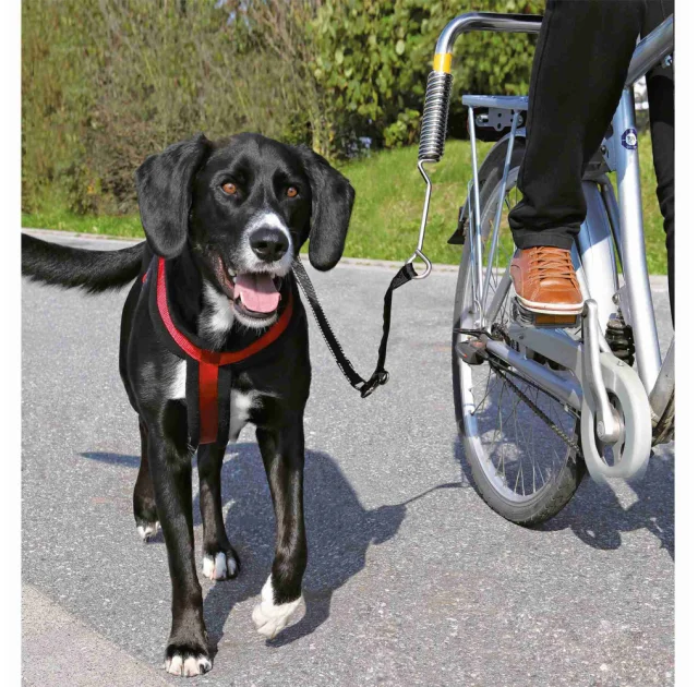 Транспортна шлея Trixie для собак, 80-110 см, 25 мм, чорний