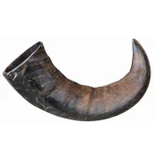 Лакомство Trixie для собак, рог буйвола, 18 см, большой