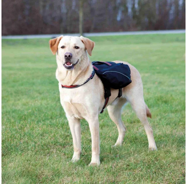 Шлея-рюкзак Trixie, для собак, 31 × 17 см