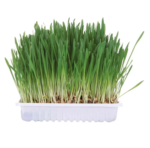 Трава Trixie, для гризунів, 100 г