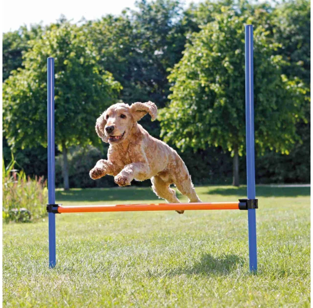 Сборный барьер Trixie, для собак, 129×115 см