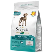 Сухой корм Schesir Dog Large Puppy с курицей, для щенков крупных пород, 12 кг