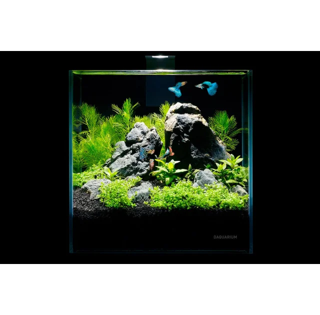 Акваріумний набір Pico Set, 5 л