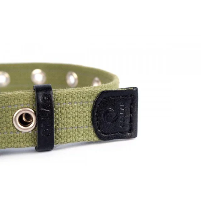 Ошейник Collar Брезент, х/б, тесьма со светоотражающей нитью, ширина 25 мм, длина 53 см