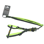 Набір шлея та повідець AnimAll Denim, зелений, 1.5×120 см/1.5×36-46 см