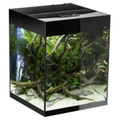 Акваріум AQUA EL GLOSSY CUBE, 50 × 50 × 63 см, 135 л