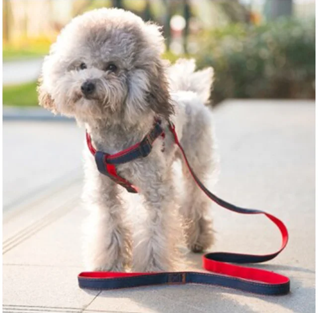 Набор шлейка и поводок AnimAll Denim, красный 1×120 см/1×28-38 см