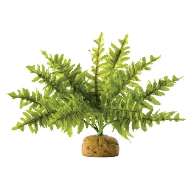 Декорація для тераріуму Hagen Exo Terra Boston Fern