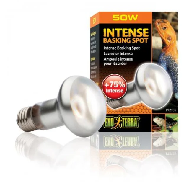 Лампа Hagen Exo Terra Intense Basking Spot, рефлеторная, 50 Вт