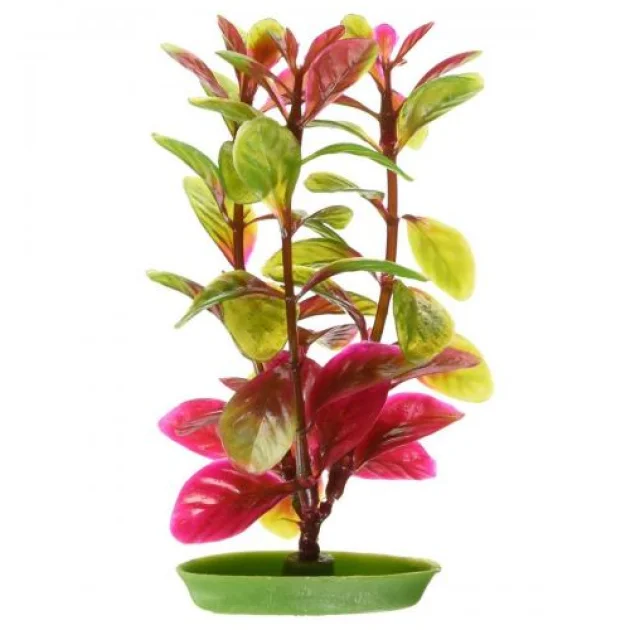 Декорация Hagen Red Ludwigia, 13 см