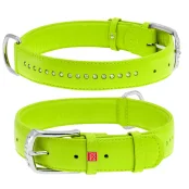 Ошейник WAUDOG GLAMOUR, со стразами, ширина 35 мм, длина 46-60 см, салатовый