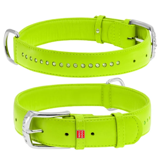 Ошейник WAUDOG GLAMOUR, со стразами, ширина 15 мм, длина 27-36 см, салатовый