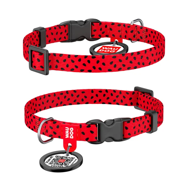 Ошейник WAUDOG Nylon с QR паспортом, рисунок "Арбуз" ширина 10 мм, длина 20-30 см