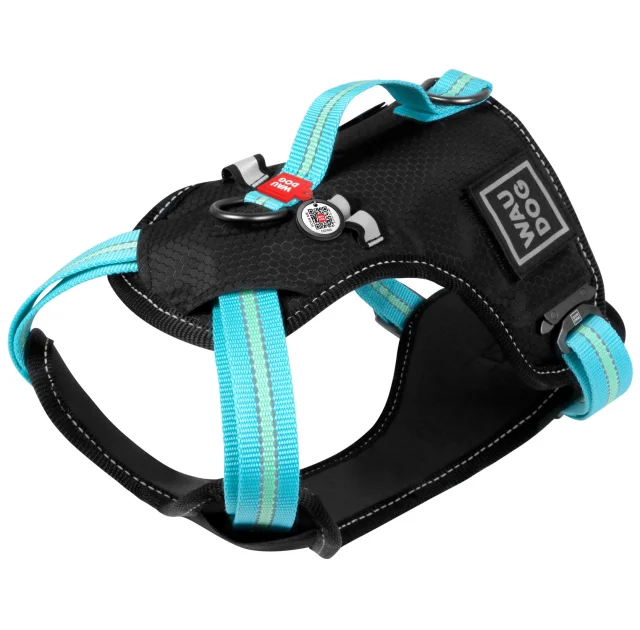 Шлея Waudog Nylon для собак, безопасная, голубой, 25 мм, размер XL, 60-95 см, 80-100 см