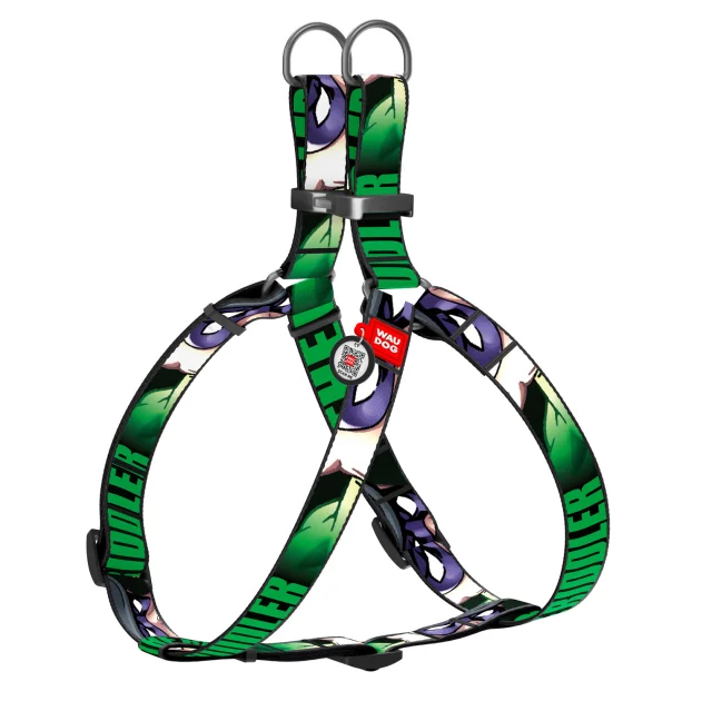 Шлея Waudog Nylon для собак, с QR паспортом, рисунок Загадочник, зеленый 20 мм, 50-80 см