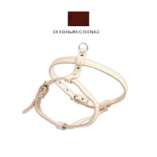 Шлейка Cristel для собак, кожаная, "пикинеса", 14 мм / 30-40 см / 38-48 см, коньяк