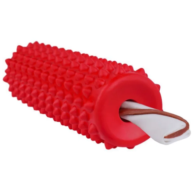 Іграшка-масажер для собак BronzeDog Stick Brush, плаваюча, 5×17 см