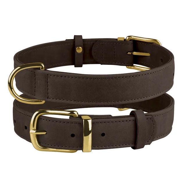 Нашийник BronzeDog Crazy, для собак, шкіряний, темно-коричневий, 19-25×1 см