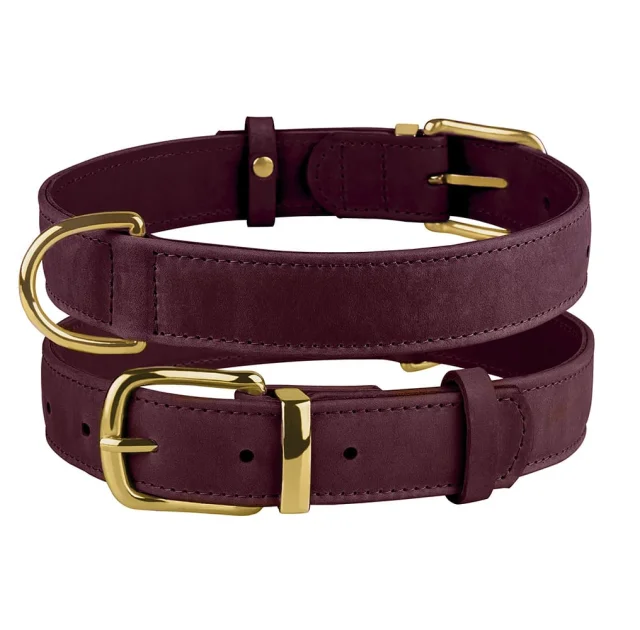 Нашийник BronzeDog Crazy, для собак, шкіряний, бордовий, 27-36×1.5 см
