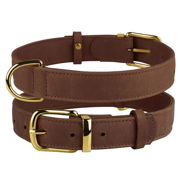 Ошейник BronzeDog Crazy, для собак, кожаный, коньяк, 27-36×1.5 см