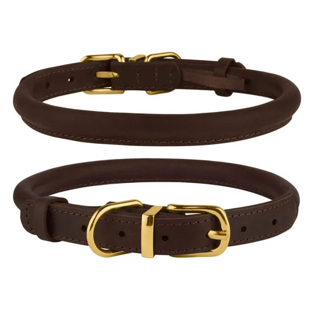 Нашийник BronzeDog Premium Crazy, для собак, шкіряний, темно-коричневий, 38-48×1.1 см