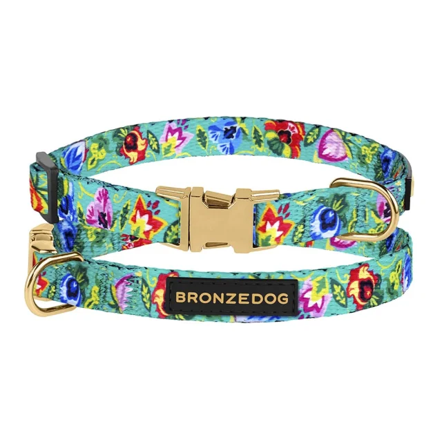 Нашийник BronzeDog Urban Folk, для собак і котів, нейлоновий, фастекс металевий, ментоловий, 18-28×1 см