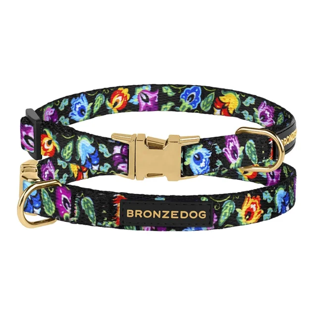 Нашийник BronzeDog Urban Folk, для собак і котів, нейлоновий, фастекс металевий, чорний, 18-28×1 см