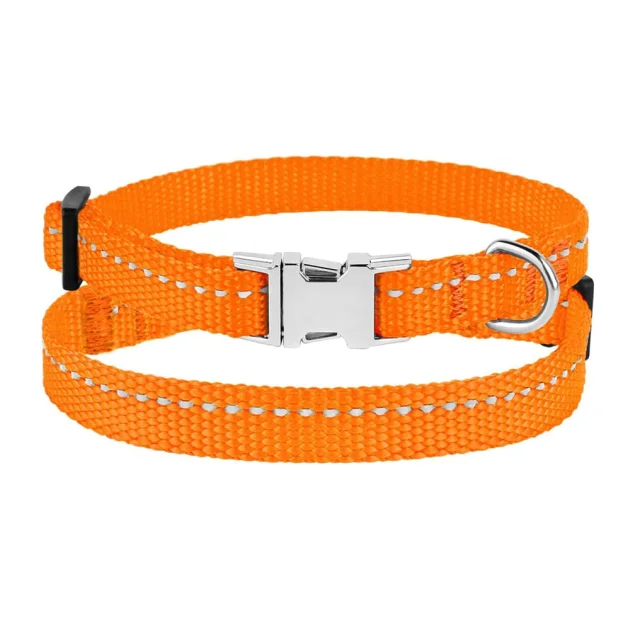 Нашийник BronzeDog Active, для собак і котів, нейлоновий, фастекс хром, помаранчевий, 18-28×1 см