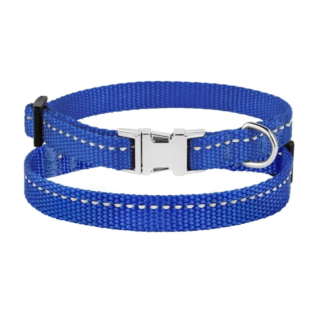 Нашийник BronzeDog Active, для собак і котів, нейлоновий, фастекс хром, синій, 18-28×1 см
