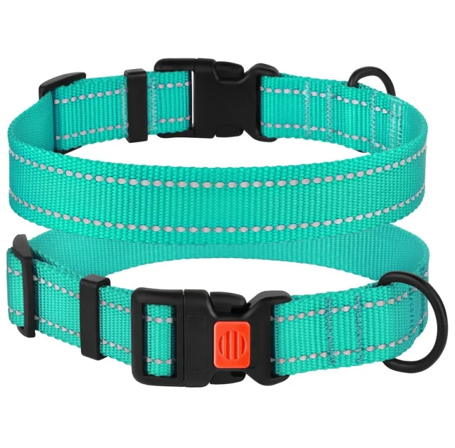 Ошейник BronzeDog Active, для собак, нейлоновый, фастекс пластик, бирюзовый, 43-66×2.5 см