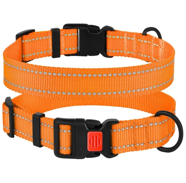 Нашийник BronzeDog Active, для собак, нейлоновий, фастекс пластик, помаранчевий, 35-53×2.5 см