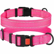 Нашийник BronzeDog Active, для собак, нейлоновий, фастекс пластик, рожевий, 35-53×2.5 см