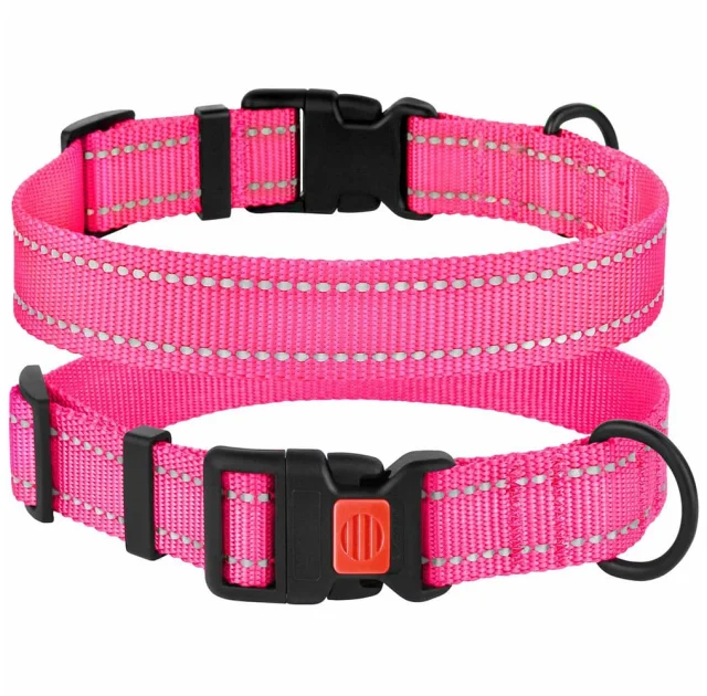 Нашийник BronzeDog Active, для собак, нейлоновий, фастекс пластик, рожевий, 43-66×2.5 см