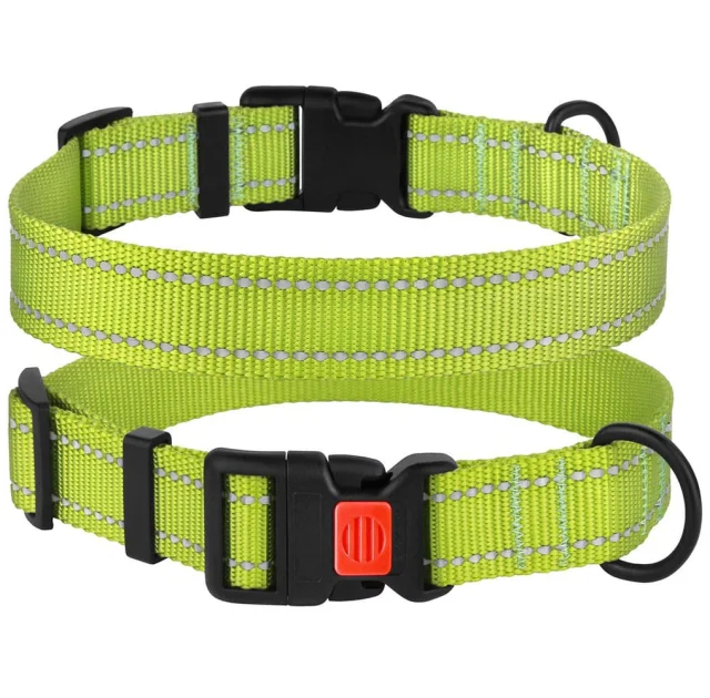 Нашийник BronzeDog Active, для собак, нейлоновий, фастекс пластик, салатовий, 25-33×1.6 см