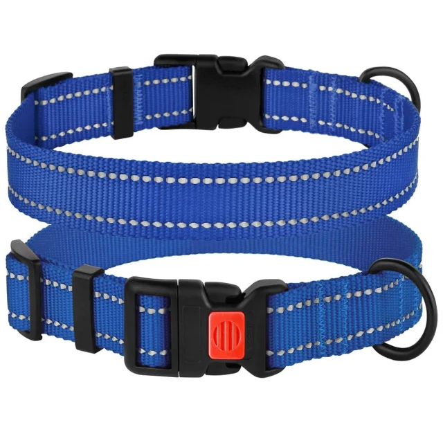 Нашийник BronzeDog Active, для собак, нейлоновий, фастекс пластик, синій, 43-66×2.5 см