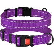 Нашийник BronzeDog Active, для собак, нейлоновий, фастекс пластик, фіолетовий, 25-33×1.6 см