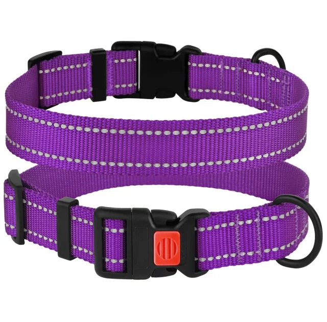 Нашийник BronzeDog Active, для собак, нейлоновий, фастекс пластик, фіолетовий, 43-66×2.5 см