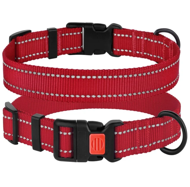 Ошейник BronzeDog Active, для собак, нейлоновый, фастекс пластик, красный, 30-40×2 см