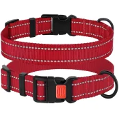Ошейник BronzeDog Active, для собак, нейлоновый, фастекс пластик, красный, 43-66×2.5 см