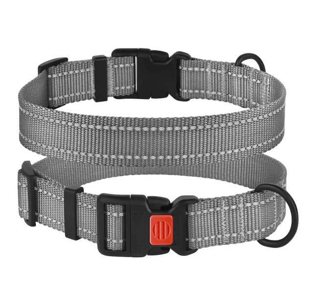 Ошейник BronzeDog Active, для собак, нейлоновый, фастекс пластик, серый, 35-53×2.5 см