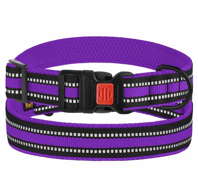Нашийник BronzeDog Urban Mesh, для собак, нейлон і 3-D сітка, фастекс пластик, фіолетовий, 35-45×2.5 см