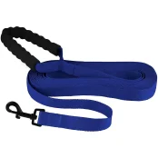 Повідець BronzeDog Active для собак, нейлоновий з м'якою ручкою, синій, 6 м×2.5 см