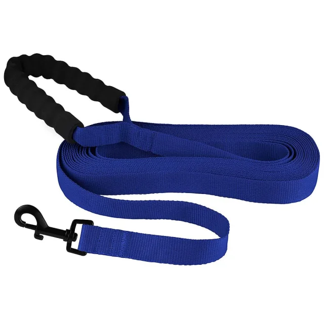Поводок BronzeDog Active для собак, нейлоновый с мягкой ручкой, синий, 6 м×2.5 см