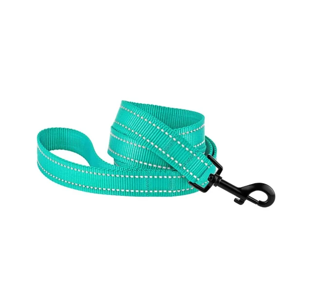 Поводок BronzeDog Active для собак, светоотражающий нейлон, бирюзовый, 152×1 см