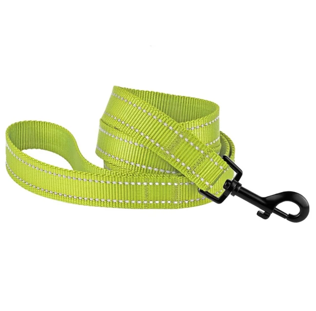 Поводок BronzeDog Active для собак, светоотражающий нейлон, салатовый, 152×2 см