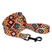 Повідець BronzeDog Tribal для собак, нейлон, принт гуцульський, помаранчевий, 152×2 см