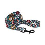 Повідець BronzeDog Tribal для собак, нейлон, принт гуцульський, ментоловий, 152×1.6 см