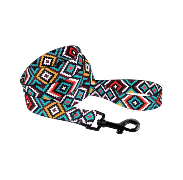 Повідець BronzeDog Tribal для собак, нейлон, принт гуцульський, ментоловий, 152×1 см