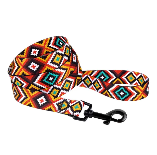 Повідець BronzeDog Tribal для собак, нейлон, принт гуцульський, помаранчевий, 152×1 см
