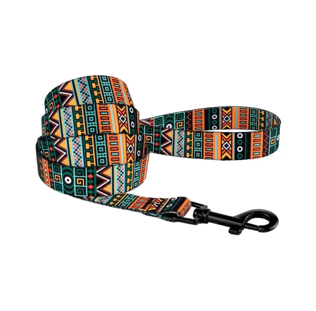 Повідець BronzeDog Tribal для собак, нейлон, принт етнічний, ментоловий, 152×1.6 см